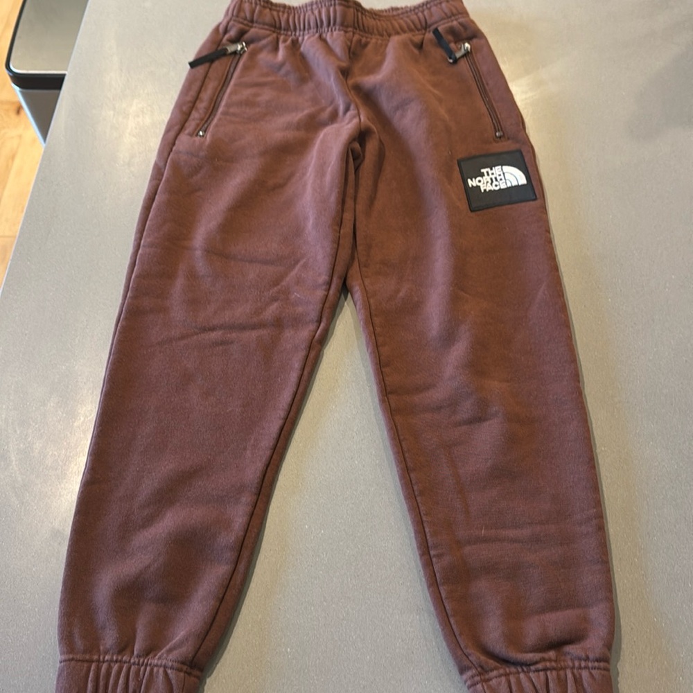 The north face sweat pants